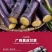 广西黑皮甘蔗一件代发产地直发一手货源对接各大电商平台