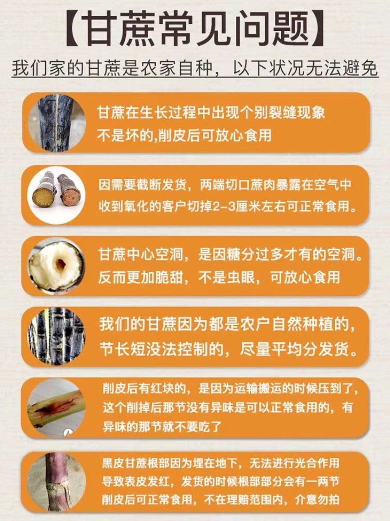 广西黑皮甘蔗一件代发产地直发一手货源对接各大电商平台