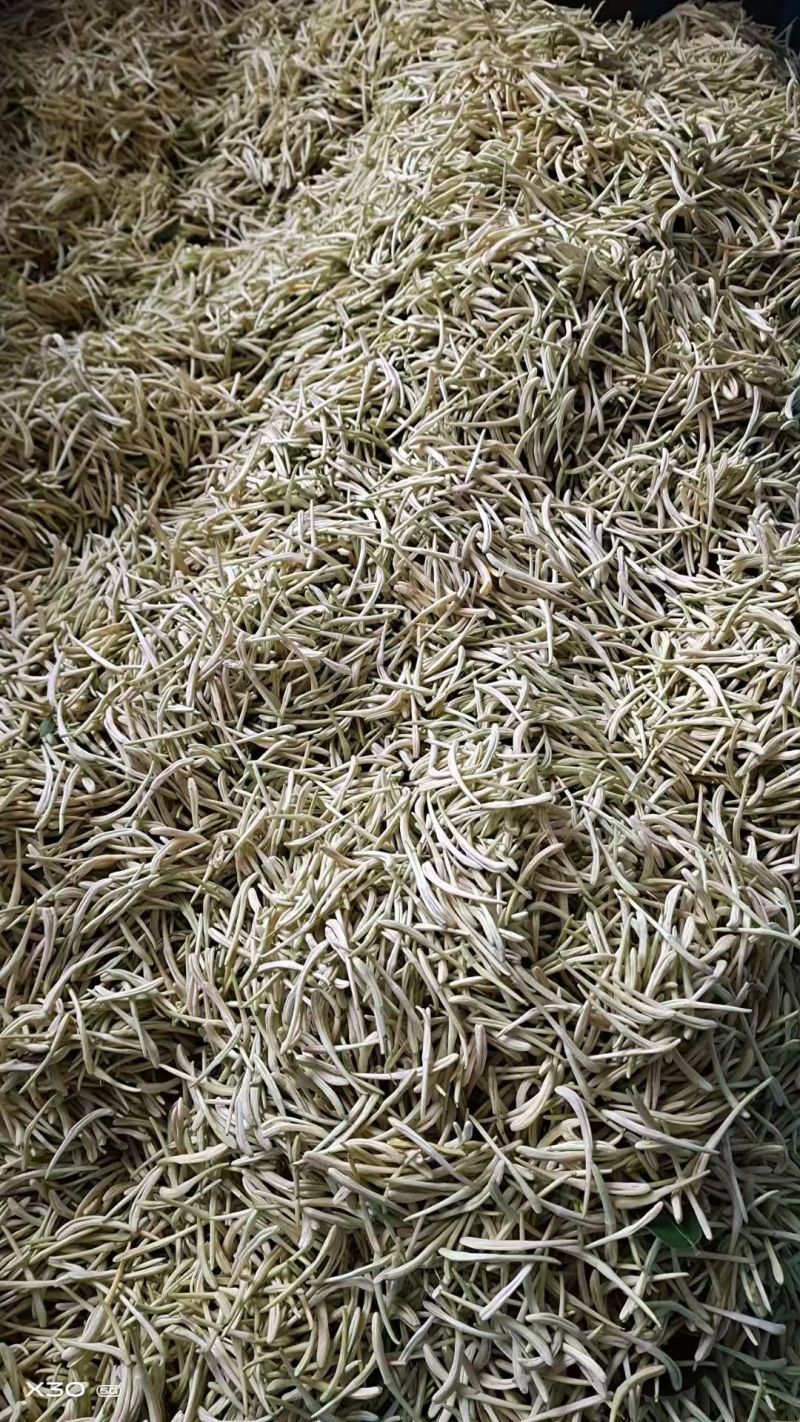 干品金银花基地直销量大质优价格优惠欢迎咨询采购