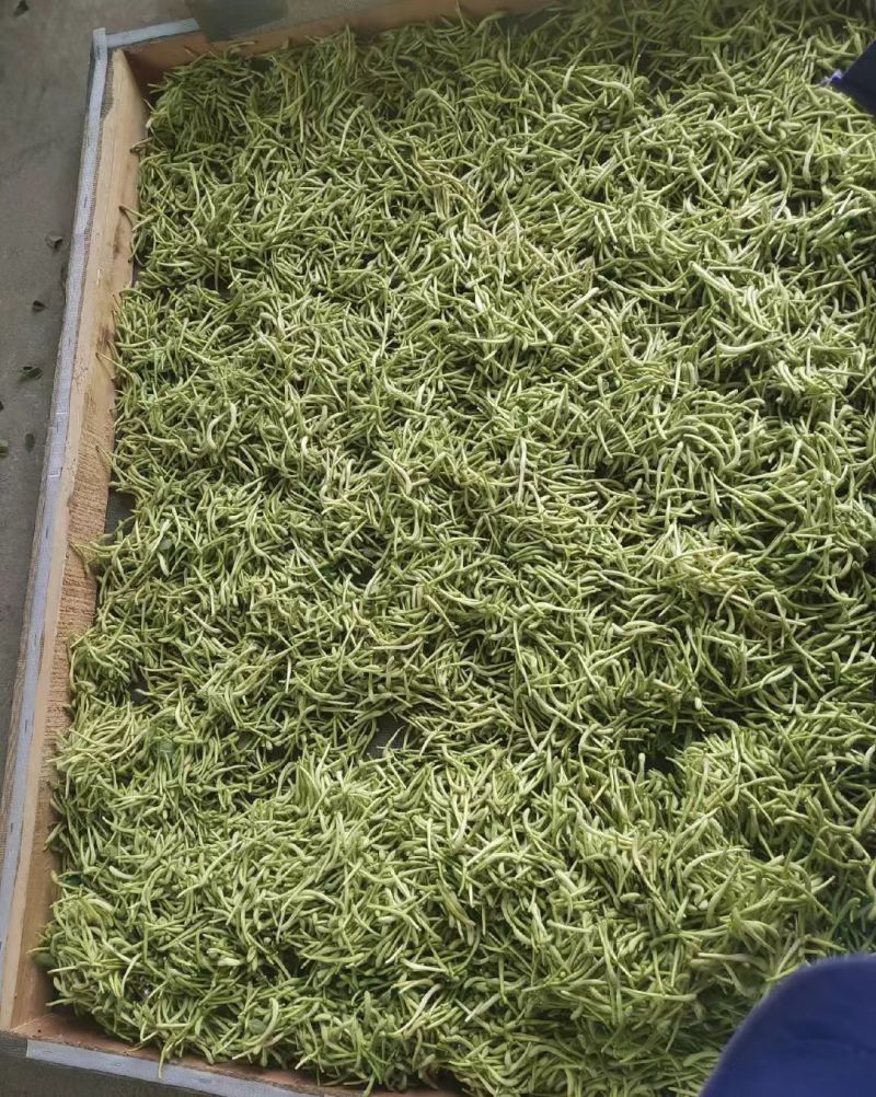 干品金银花基地直销量大质优价格优惠欢迎咨询采购