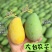 接电商微商，社区团购，日出500箱