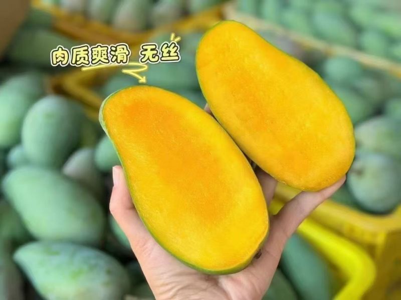 【产地直供】，【一件代发】，【接代理】