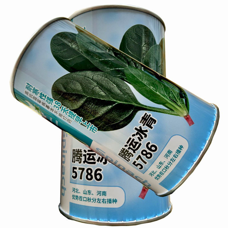 菠菜种子腾运冰青5786耐寒长椭圆叶菠菜400g早中熟