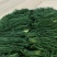 江苏豆角大量上市，对接各种商超市场，量大从优