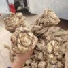 岷县锦德康中药材有限公司的一亩田店铺