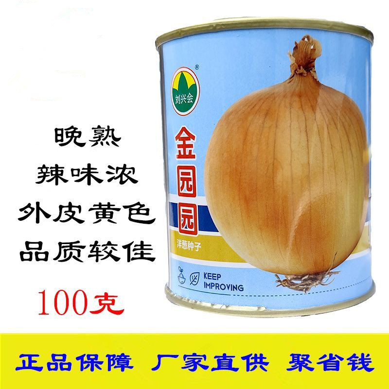金黄皮洋葱种子大果葱头圆抗病耐寒耐抽苔晚熟辣味浓基地用