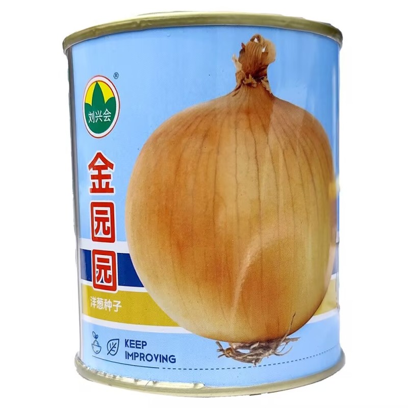 金黄皮洋葱种子大果葱头圆抗病耐寒耐抽苔晚熟辣味浓基地用