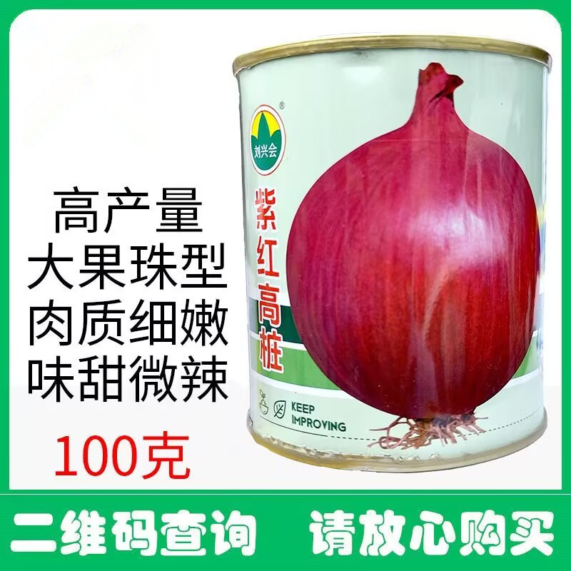 紫红高桩洋葱种子大果珠型高产量抗病耐热耐寒耐抽苔基地用