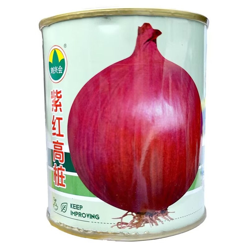 紫红高桩洋葱种子大果珠型高产量抗病耐热耐寒耐抽苔基地用