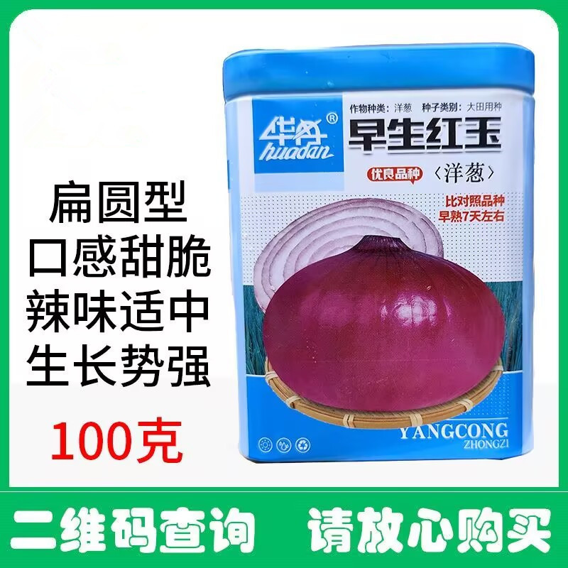 早生红玉洋葱种子中日照扁圆型口感甜脆辣味适中基地用