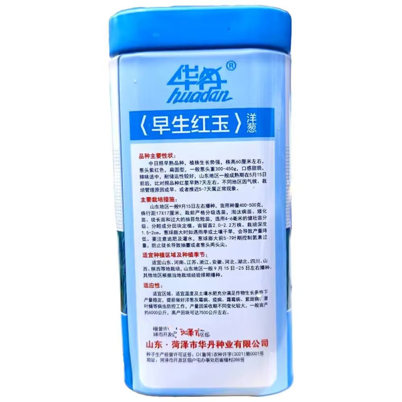 早生红玉洋葱种子中日照扁圆型口感甜脆辣味适中基地用