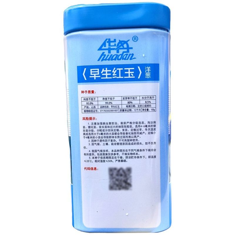早生红玉洋葱种子中日照扁圆型口感甜脆辣味适中基地用