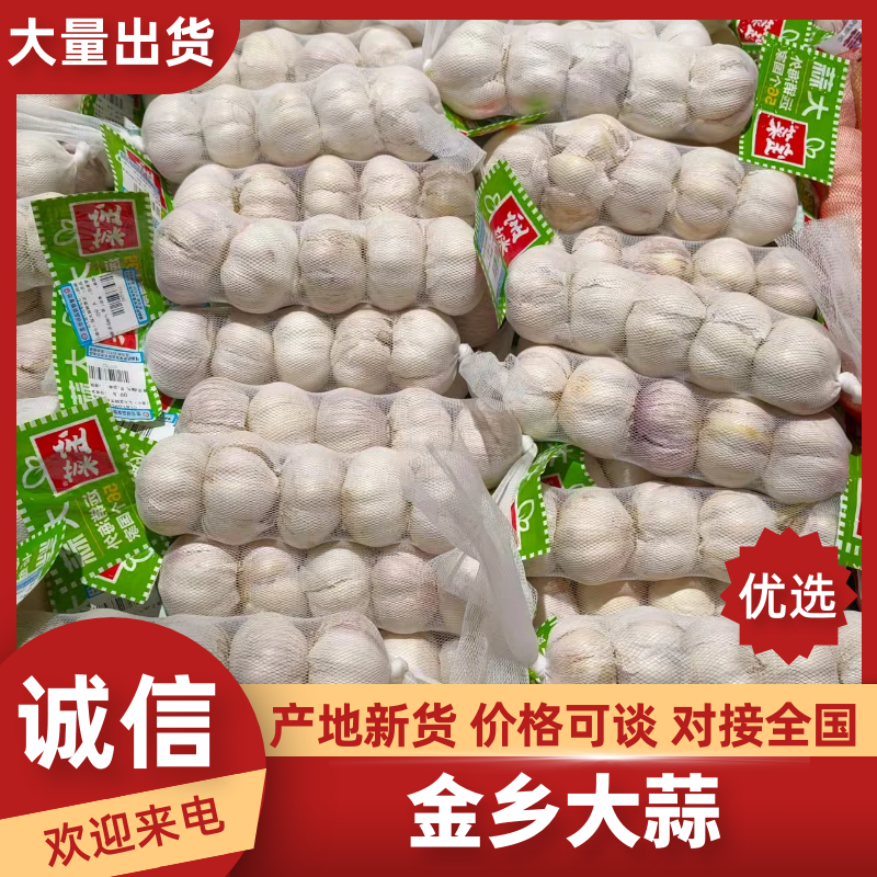【热卖推荐】金乡大蒜山东精品紫皮蒜产地直发可对接全国