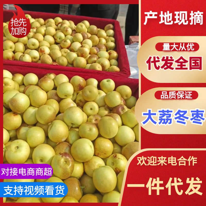 陕西大荔冬枣大量上市中，一件代发对接商超市场电商社区团购