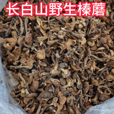 去根去泥东北榛蘑批发长白山野生榛蘑，可以一件代发