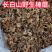 去根去泥东北榛蘑批发长白山野生榛蘑，可以一件代发