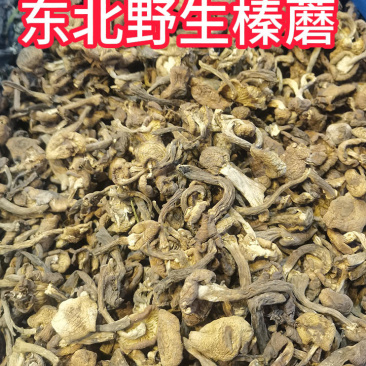 去根去泥榛蘑丁！东北野生榛蘑批发特级榛蘑丁，可以一件代发