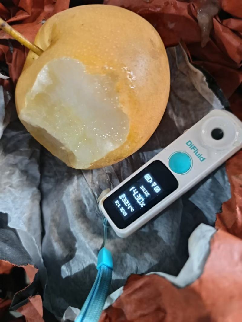 【农户自种】河南南阳圆黄梨一手货源量大价优欢迎来电