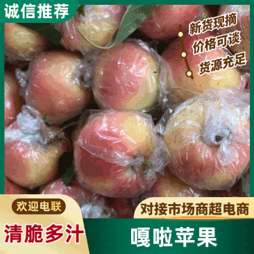 嘎啦苹果产地直销量大质优价格优惠一手货源欢迎咨询