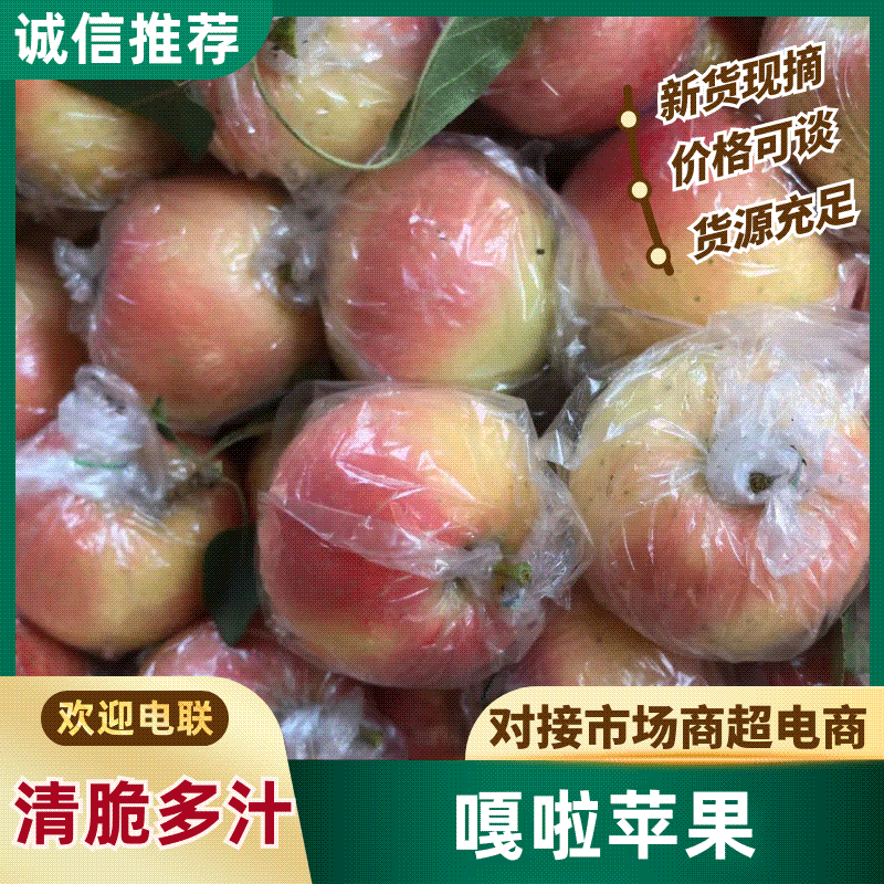嘎啦苹果产地直销量大质优价格优惠一手货源欢迎咨询