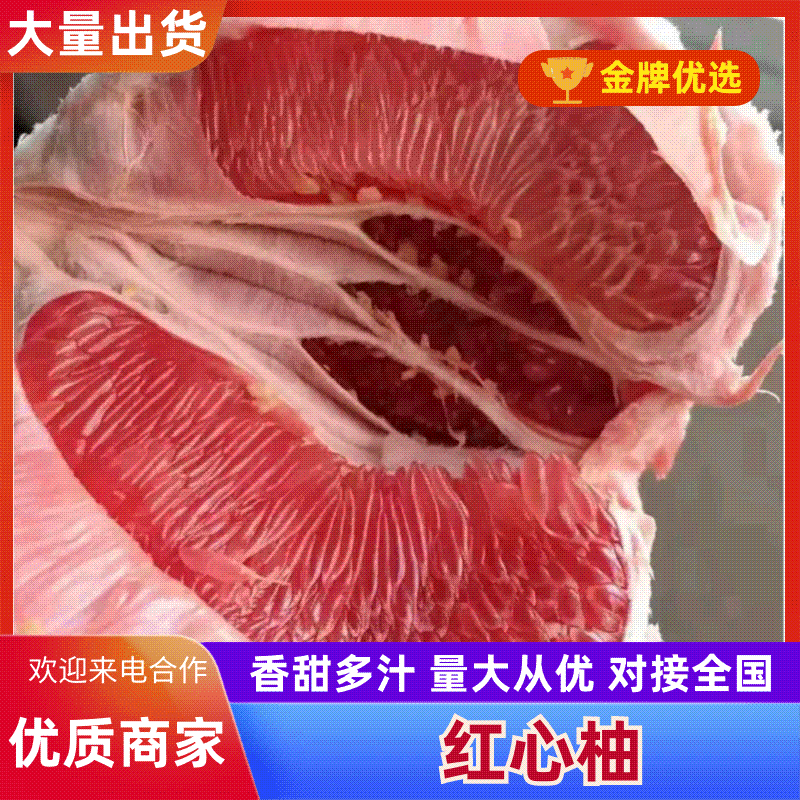红心柚白心柚价格适惠电商社区团购批发产地视频走货保质保量