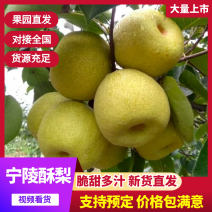 【热卖推荐】酥梨产地直供量大质优支持视频看货欢迎采购
