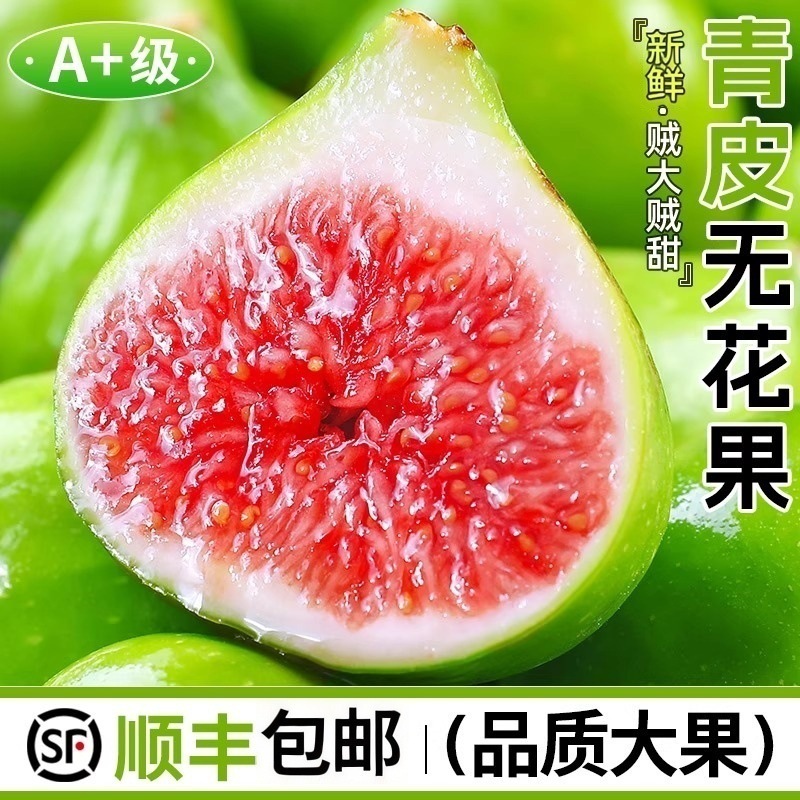 山东威海青皮无花果一件代发产地直发一手货源对接各大电商平