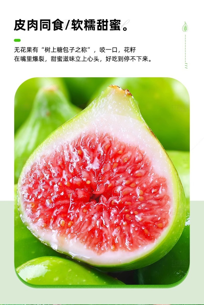山东威海青皮无花果一件代发产地直发一手货源对接各大电商平