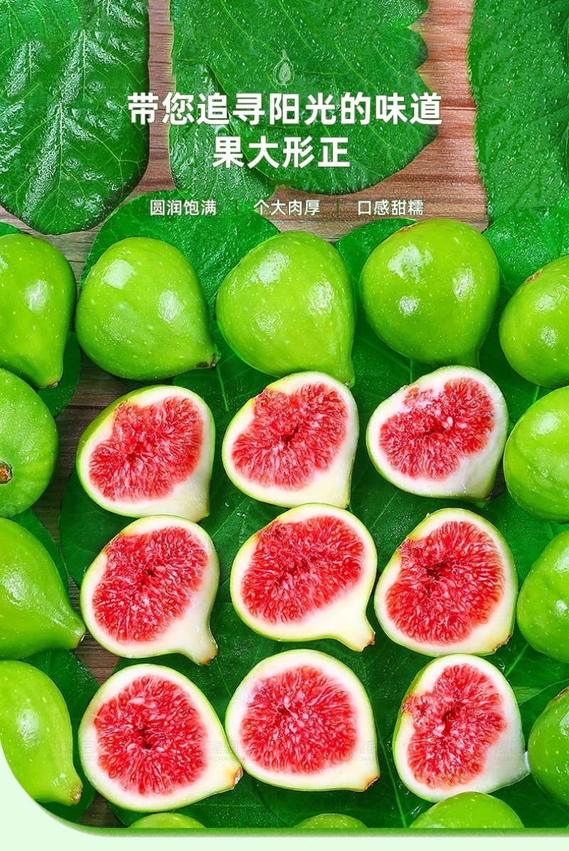 山东威海青皮无花果一件代发产地直发一手货源对接各大电商平