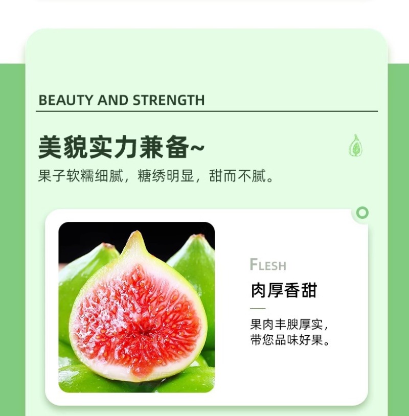 山东威海青皮无花果一件代发产地直发一手货源对接各大电商平