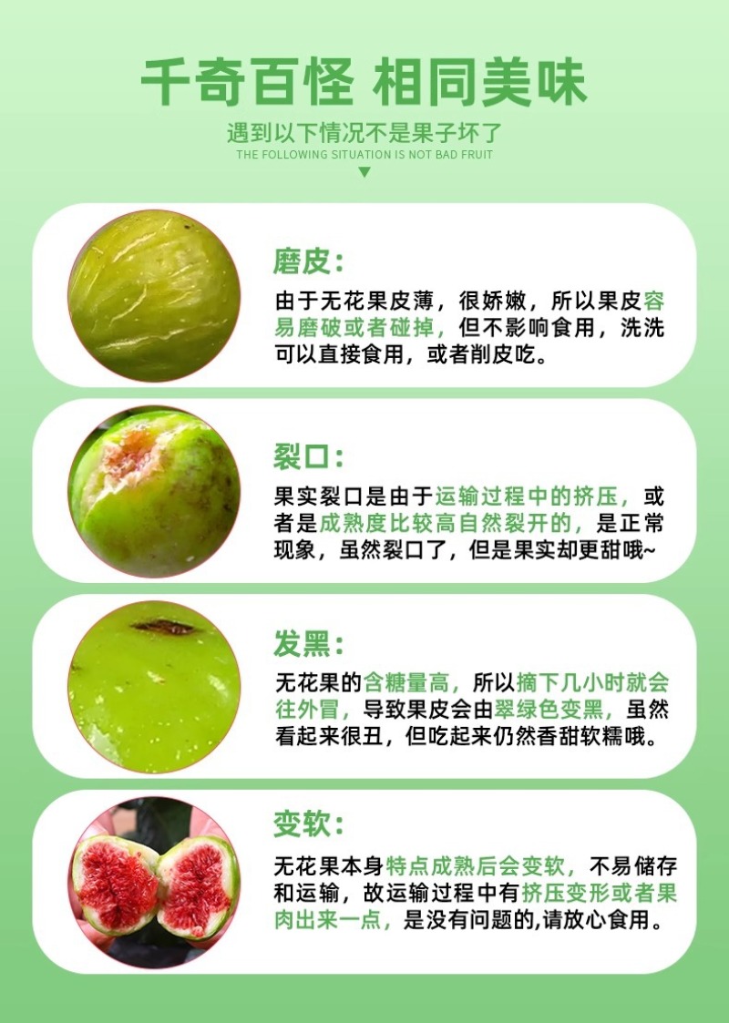 山东威海青皮无花果一件代发产地直发一手货源对接各大电商平
