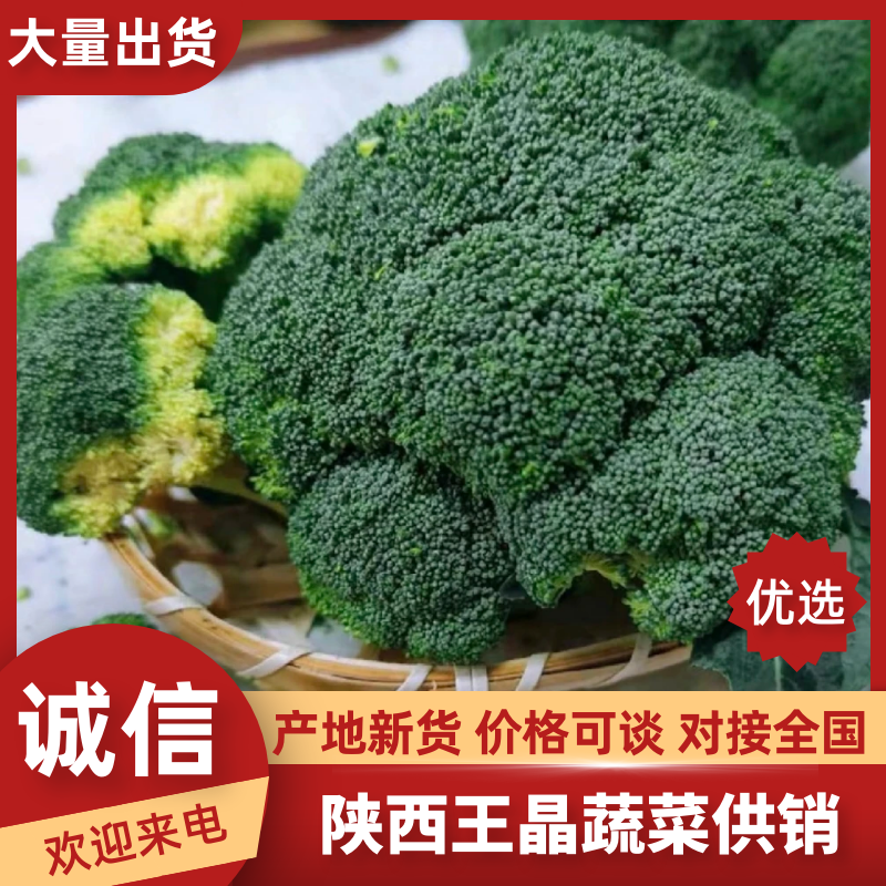 西蓝花，常年供应【精品西蓝花】，型好，颜色鲜绿