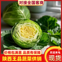 甘蓝陕西三原绿甘蓝大量供应，常年供应直供个头均匀