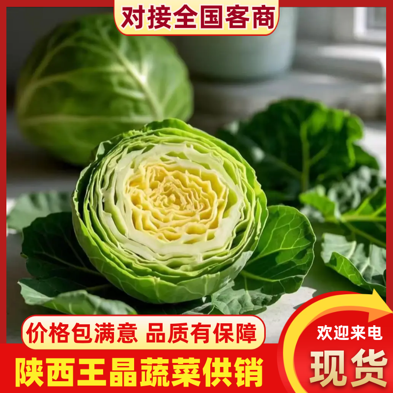 甘蓝陕西三原绿甘蓝大量供应，常年供应直供个头均匀