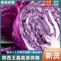 紫甘蓝《陕西三原紫千亩常年供应】大量供应，品质保证