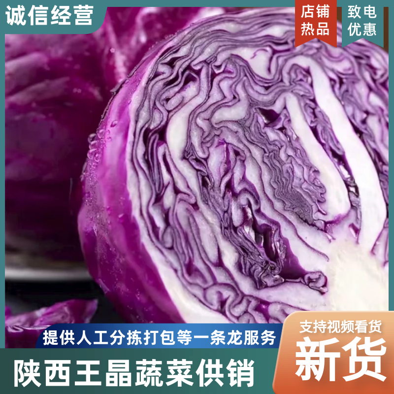 紫甘蓝《陕西三原紫千亩常年供应】大量供应，品质保证
