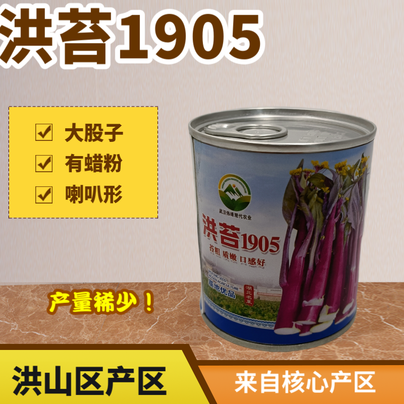【洪苔1905】基地优选正宗湖北武汉洪山菜苔种子粗苔子抗