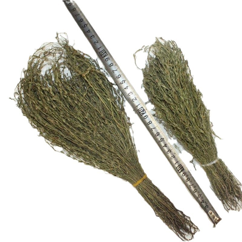 独脚金疳积草当季新货独角金中药材孩儿消积食煲汤孩儿草
