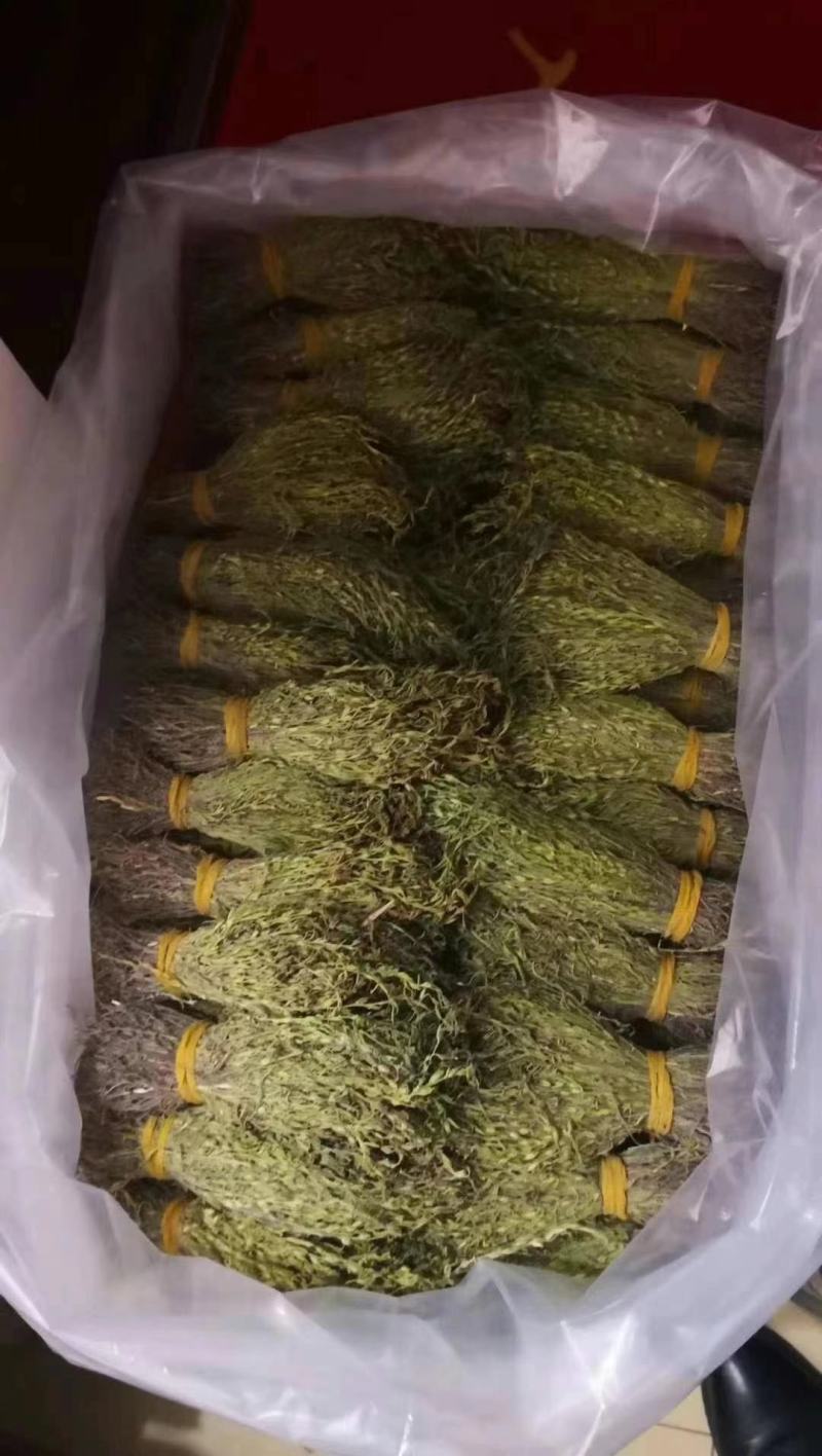 独脚金疳积草当季新货独角金中药材孩儿消积食煲汤孩儿草