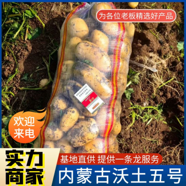《精选》沃土五号&沃土5/内蒙古土豆/黄皮黄心/全国发货