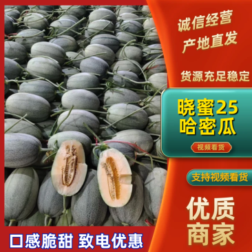 山东西州蜜25号瓜产地大量上市一手货源欢迎实地考察