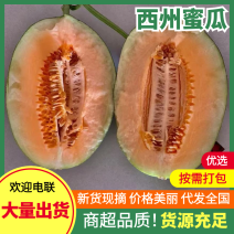 山东寿光西州蜜瓜大量现货价格不高脆甜多汁代发全国