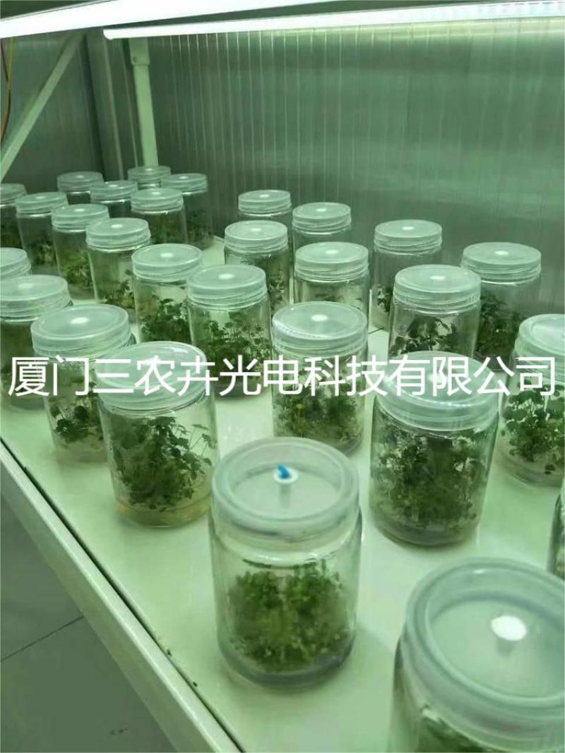 90cm-草莓育苗组培灯
