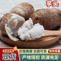 【芋头】山东毛芋头8520小芋头牛奶芋头产地直销可对接全国