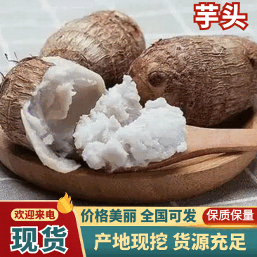 【小奶芋】山东牛奶毛芋头粉糯拉丝各种规格供应常年专业代收