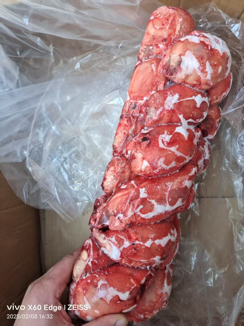 精品羊蛋，各种规格，鲜冻，厂家直销，一手货源