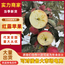 昭通红露苹果大量供应，工厂果，电商平台一件代发，越南出口