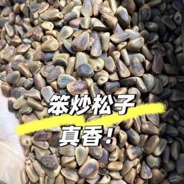 厂家直销，东北特产笨炒松子，全国可批发。