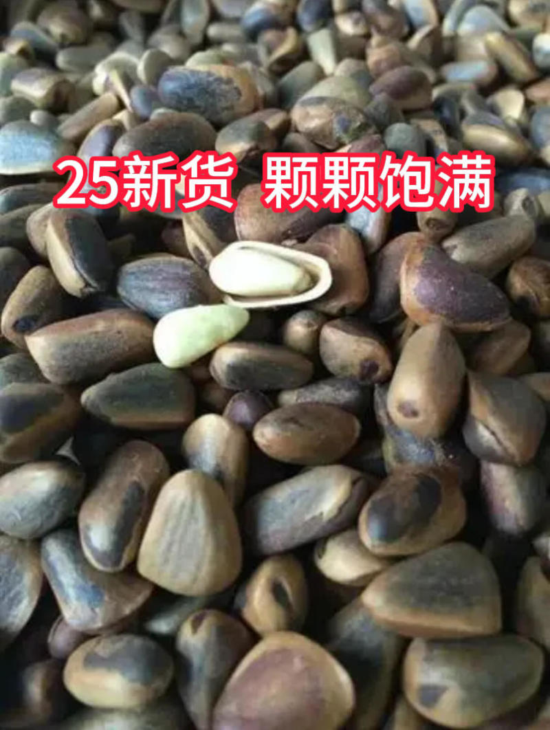 厂家直销，东北特产笨炒松子，全国可批发。