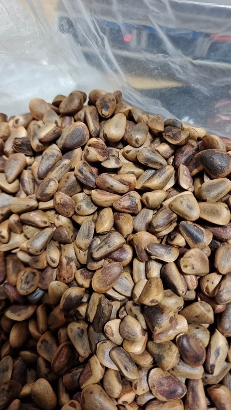 厂家直销，东北特产笨炒松子，全国可批发。